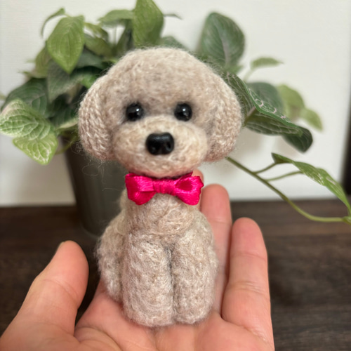 羊毛フェルト トイプードル（手乗りサイズ） 羊毛フェルト トイプードル（手乗りサイズ） 羊毛フェルト手乗り