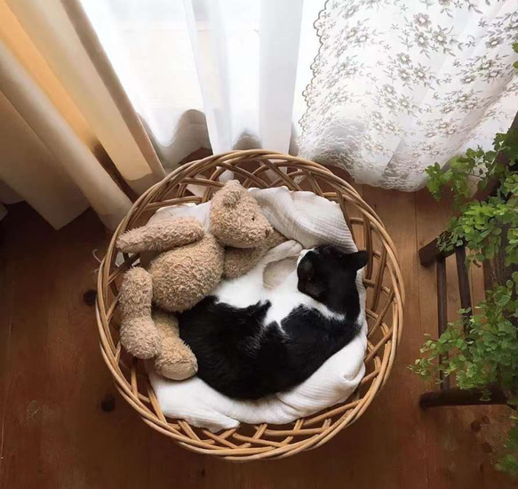 猫用ベッド、ラタンベッド、手編みベッド　キャットベッド 8枚目の画像