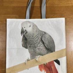 ハンドメイド ぺたんこBigトートバッグ 鳥柄 ヨウム 1枚目の画像