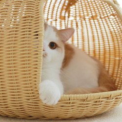 猫ベッド　猫ちぐら　キャットベッド　手編みベッド　キャットハウス　猫ハウス 4枚目の画像