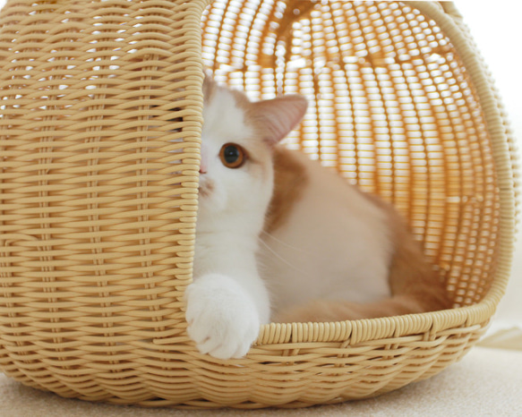 猫ベッド　猫ちぐら　キャットベッド　手編みベッド　キャットハウス　猫ハウス 4枚目の画像