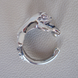 蛙（カエル）ピアス シルバーアクセサリー かえる カエル 動物