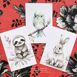 樹懶小鳥兔水彩插圖藝術 3 件明信片明信片套裝 ♪ 第1張的照片
