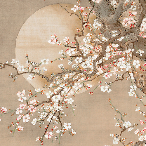 NO.551】桜の木と月の日本画アートポスター☆花和柄植物浮世絵