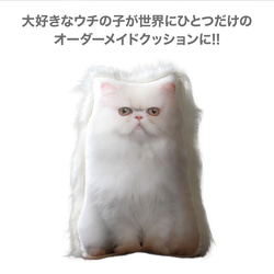 猫　ペット　メモリアル　クッション　グッズ　ぬいぐるみ　ペットロス　オーダーメイド　写真　うちの子　親バカ　ペルシャ猫p 2枚目の画像