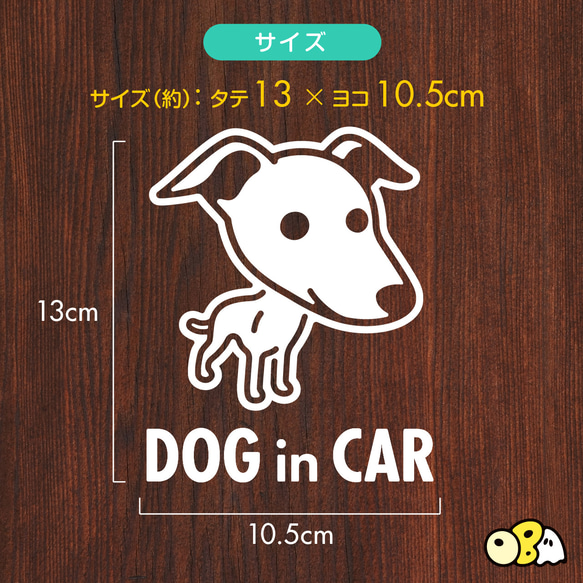 DOG IN CAR/イタリアン・グレーハウンドA カッティングステッカー KIDS IN・BABY IN・SAFETY 3枚目の画像