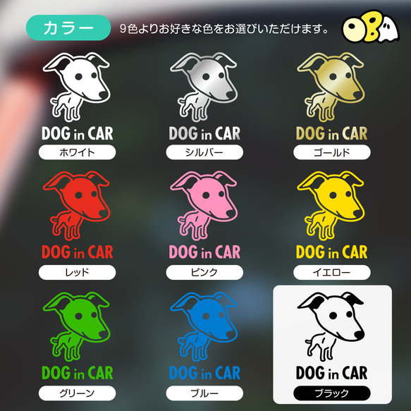 DOG IN CAR/イタリアン・グレーハウンドA カッティングステッカー KIDS IN・BABY IN・SAFETY 5枚目の画像