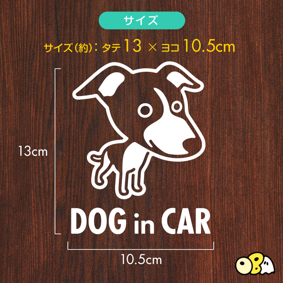 DOG IN CAR/イタリアン・グレーハウンドB カッティングステッカー KIDS IN・BABY IN・SAFETY 3枚目の画像