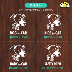 DOG IN CAR/イタリアン・グレーハウンドB カッティングステッカー KIDS IN・BABY IN・SAFETY 4枚目の画像