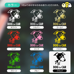 DOG IN CAR/イタリアン・グレーハウンドB カッティングステッカー KIDS IN・BABY IN・SAFETY 5枚目の画像