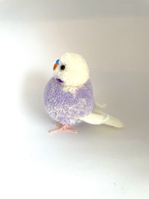 ぽんぽん小鳥　セキセイインコ　ライラックスパングル 10枚目の画像