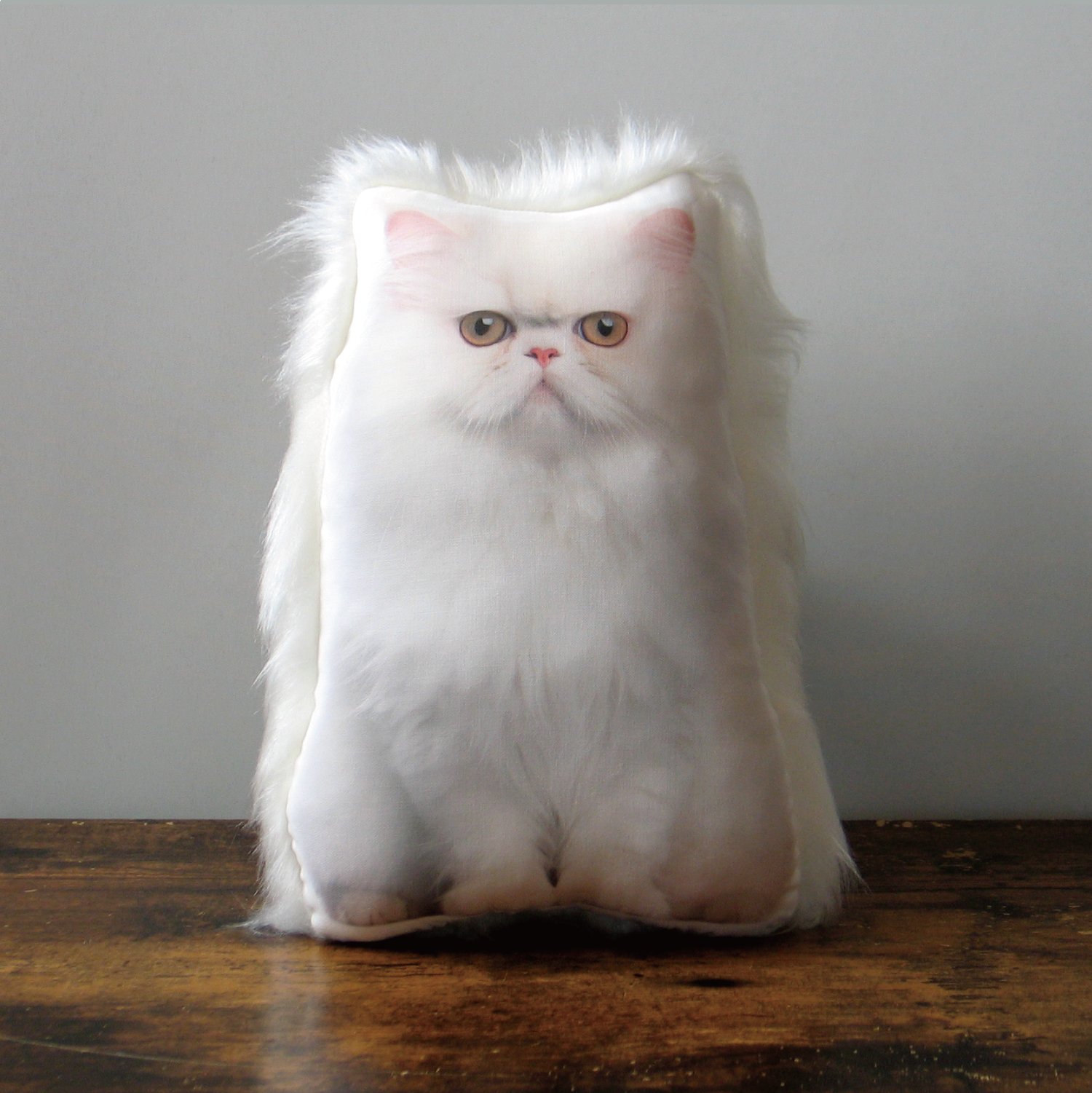 猫　ペット　メモリアル　クッション　グッズ　ぬいぐるみ　ペットロス　オーダーメイド　写真　うちの子　親バカ　ペルシャ猫i