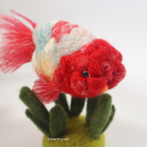 桜錦 金魚 羊毛フェルト アクアリウム 夏 春 羊毛フェルト deme