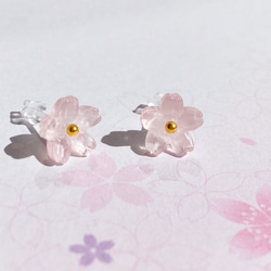 硝子桜の粒ピアス/イヤリング 2枚目の画像