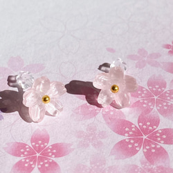 硝子桜の粒ピアス/イヤリング 1枚目の画像