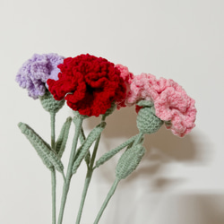 針織花系列-【母親節限定商品】康乃馨 carnation 第2張的照片