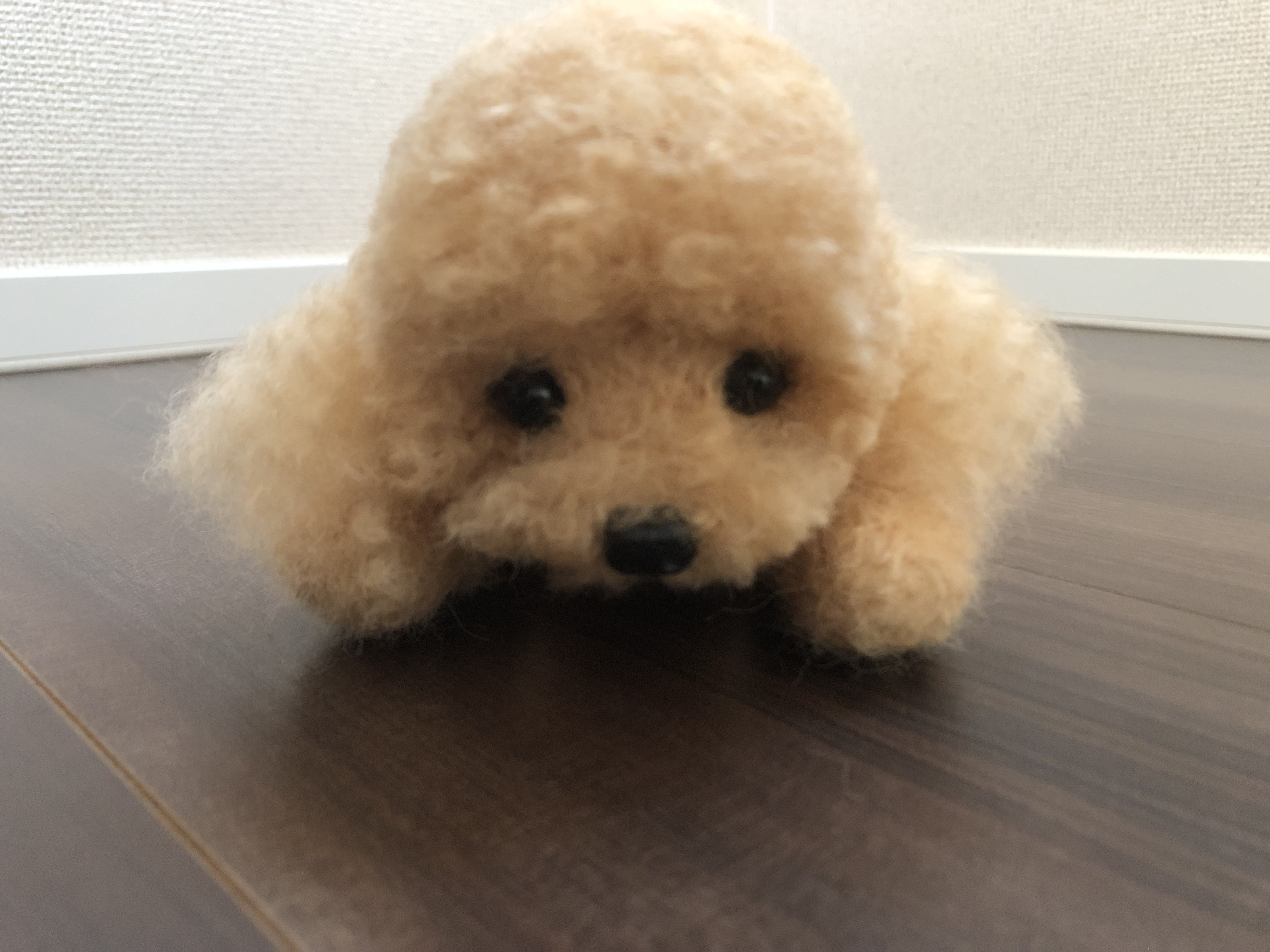 見本]トイプードル 羊毛フェルト マスコット 辛かっ