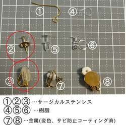  第10張的照片