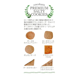 【限定販売】プレミアム塩クッキー缶 2枚目の画像