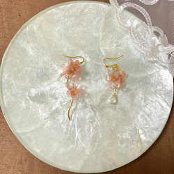 桜のアシンメトリー耳飾り　イヤリング/ピアス　ディップアート 3枚目の画像