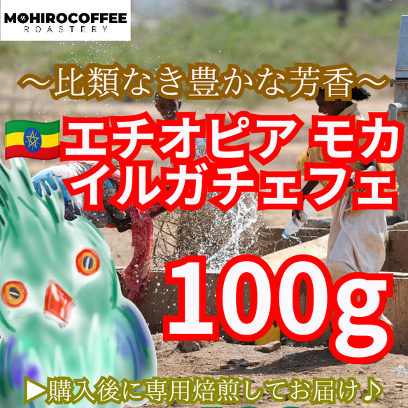 モカ イルガチャフェ 生豆時 100g エチオピア コーヒー 珈琲 自家焙煎 コーヒー豆 モカコーヒー 1枚目の画像