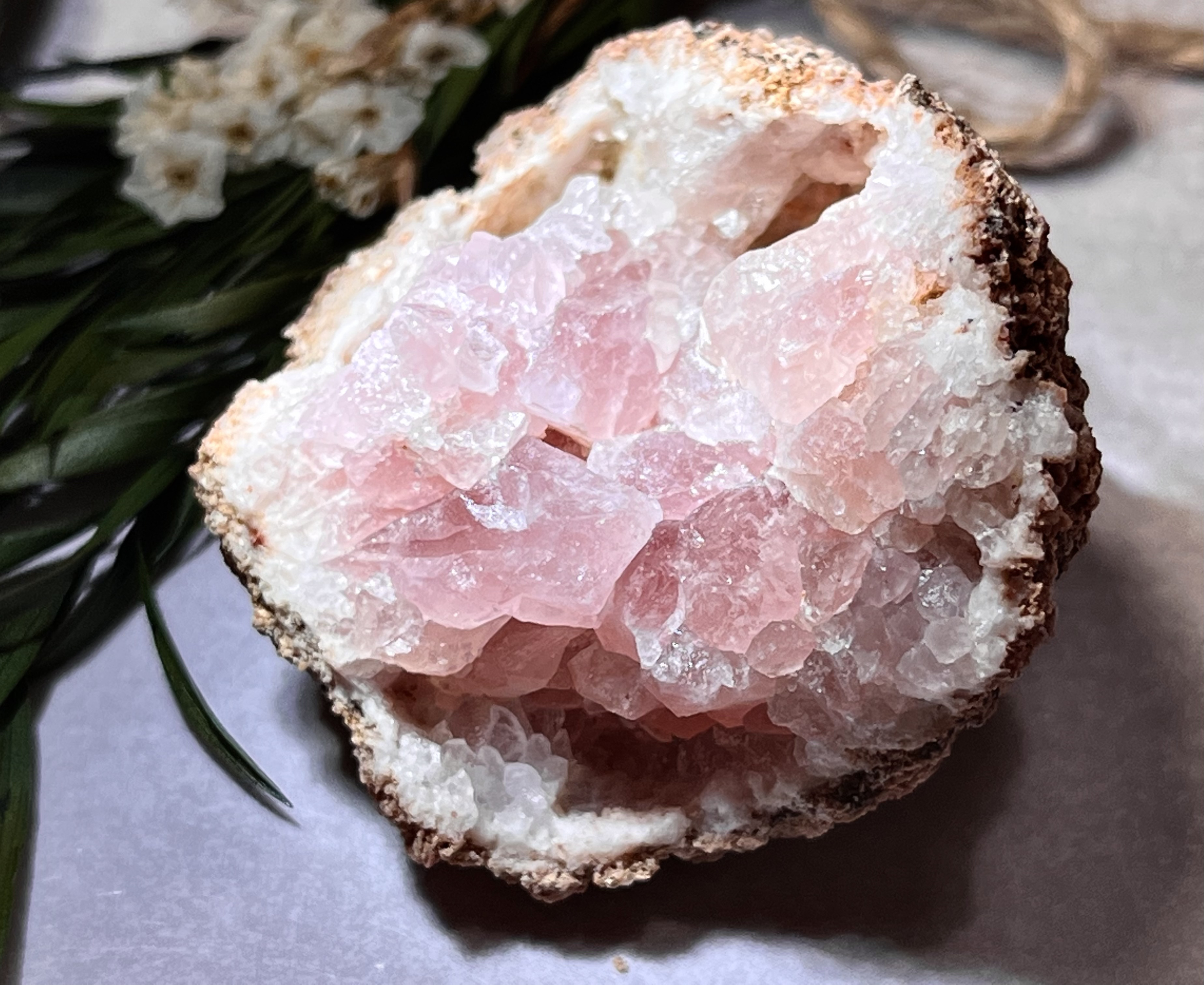 カクタス アメジストクラスター 希少種 カクタスアメジスト