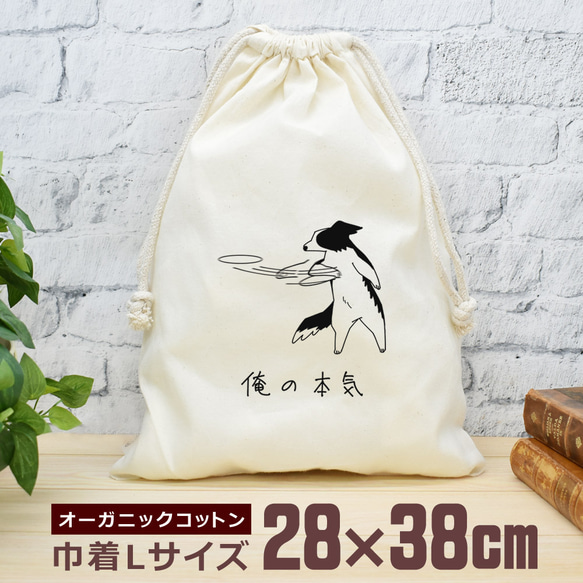 巾着 袋 大 収納袋 ポーチ 小物入れ 通園 通学 旅行 おもしろ 俺の本気 ボーダーコリー 動物 フリスビー犬  即納 1枚目の画像
