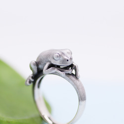 手握青蛙銀戒指 第1張的照片