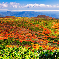 山岳風景写真 〜Sacred Carpet〜 （紅葉･栗駒山･秋･登山／送料無料） 9枚目の画像