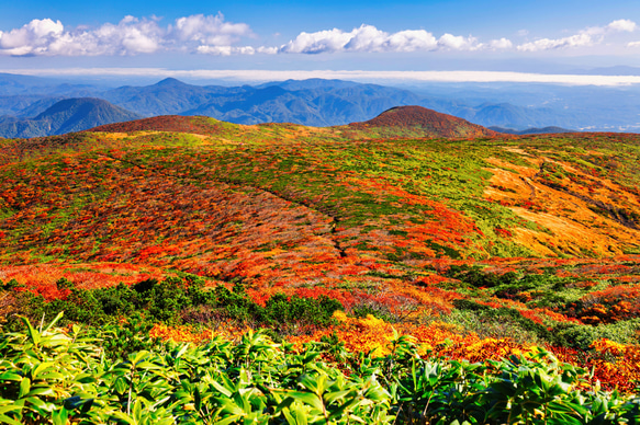 山岳風景写真 〜Sacred Carpet〜 （紅葉･栗駒山･秋･登山／送料無料） 9枚目の画像