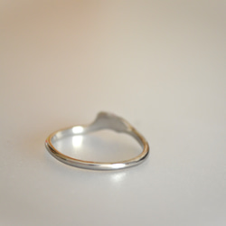 Titanium ring・チタンリング=かたわれリーフ=14.5号 5枚目の画像
