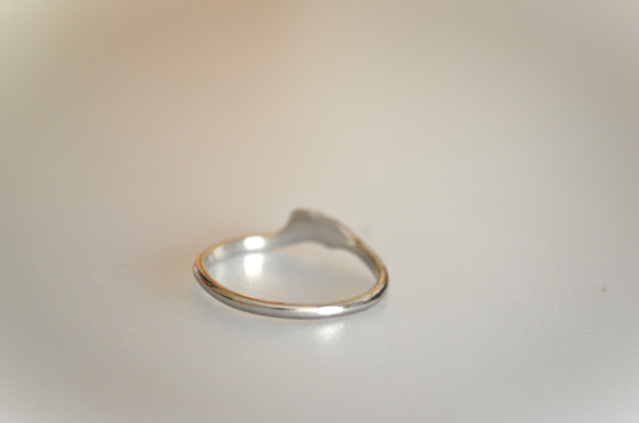Titanium ring・チタンリング=かたわれリーフ=14.5号 5枚目の画像