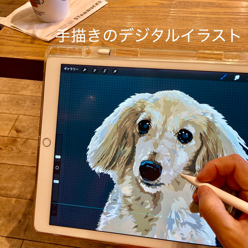 手描きデジタルイラスト+A4マットフォト紙印刷のセット販売 額装用