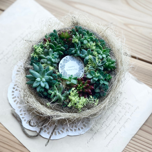 受注品】多肉植物のケーキ型リース 多肉植物 kralik 通販 受注品】多肉植物のケーキ型リース 多肉植物 kralik 通販