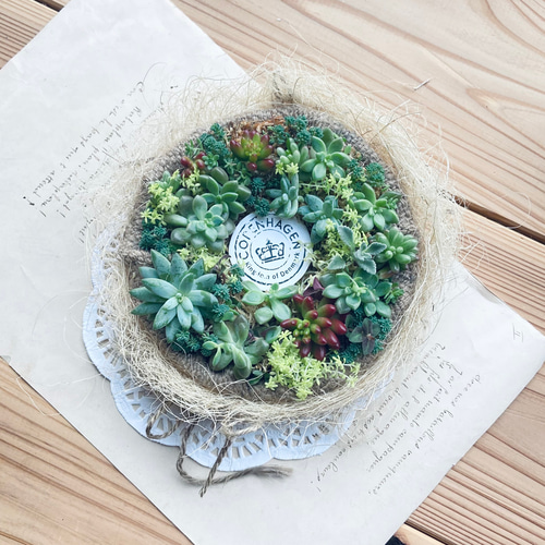 受注品】多肉植物のケーキ型リース 多肉植物 kralik 通販 受注品】多肉植物のケーキ型リース 多肉植物 kralik 通販