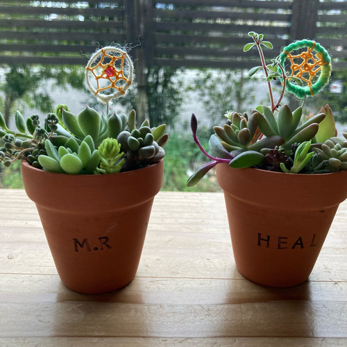 素焼き鉢の多肉寄せ植え 手作りドリームキャッチャー付き 送料無料 鉢
