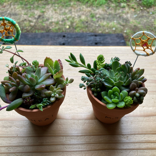 素焼き鉢の多肉寄せ植え 手作りドリームキャッチャー付き 送料無料 鉢