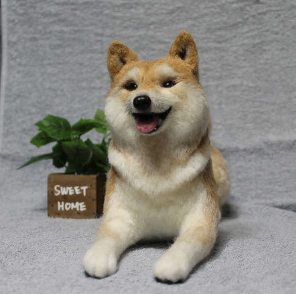 羊毛フェルト オーダー 「リアルで可愛いワンちゃん」柴犬 ぬいぐるみ プレゼント うちの子 ペット 800円 送料込み
