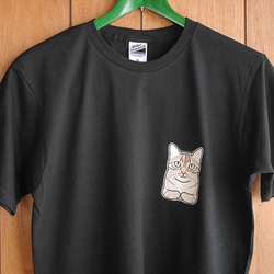 sale★B品★猫半袖Tシャツ/フリーM 1枚目の画像