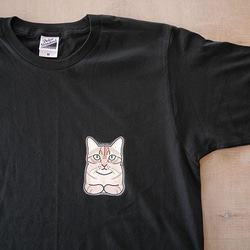 sale★B品★猫半袖Tシャツ/フリーM 3枚目の画像