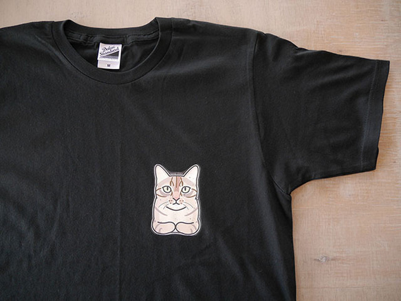sale★B品★猫半袖Tシャツ/フリーM 3枚目の画像