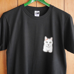 sale★B品★猫半袖Tシャツ/フリーM 1枚目の画像