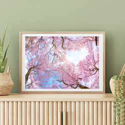 4a98d68ec6161632ff8ef140c52e7d