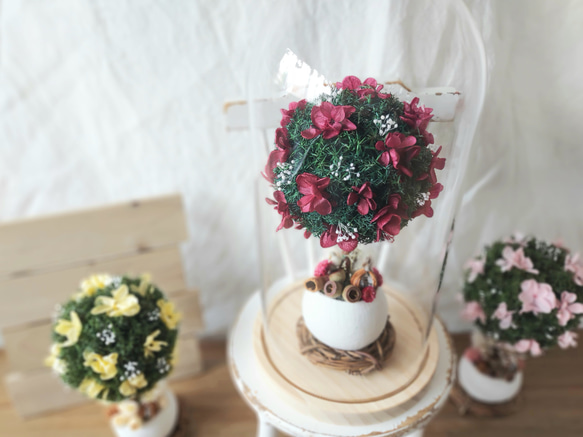 【贈り物、開店祝い、結婚祝いに】色が選べる＊アジサイ咲く まんまるの木《本物の植物で作られたちいさな木プリザ》 3枚目の画像