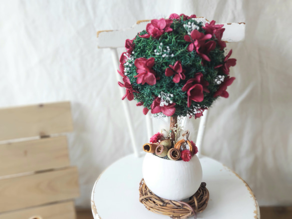 【贈り物、開店祝い、結婚祝いに】色が選べる＊アジサイ咲く まんまるの木《本物の植物で作られたちいさな木プリザ》 10枚目の画像