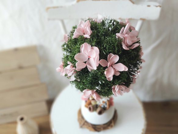 【贈り物、開店祝い、結婚祝いに】色が選べる＊アジサイ咲く まんまるの木《本物の植物で作られたちいさな木プリザ》 8枚目の画像