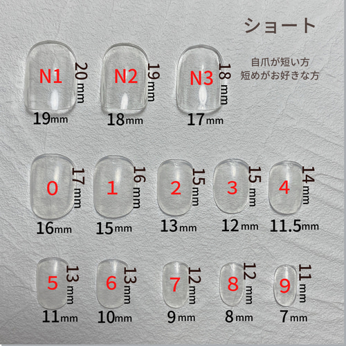 サイズ確認用クリアチップ(送料無料) /ネイルチップ ネイルチップ