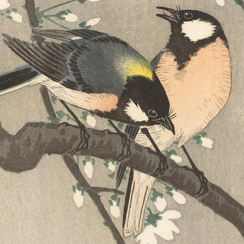 NO.556】桜の花と野鳥の日本画アートポスター和モダン大正ロマン NO.556】桜の花と野鳥の日本画アートポスター和モダン大正ロマン