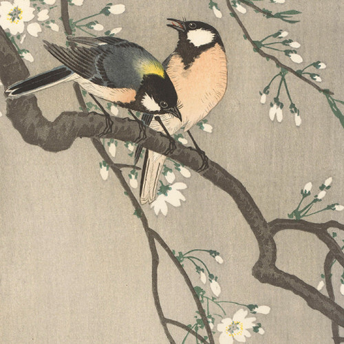 日本全国送料無料商品 | 特集 | 鳥と花の日本画 大判 絵画 - 絵画