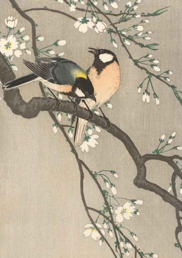 【NO.556】桜の花と野鳥の日本画アートポスター和モダン大正ロマン昭和レトロ和室A4A3A2A1B5B4B3B2ハガキ 2枚目の画像